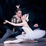 Swan Lake photo (4-12)