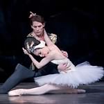 Swan Lake photo (4-13)