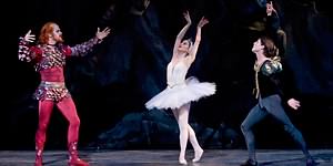 Swan Lake photo (4-14)