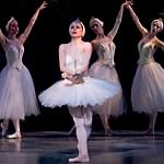 Swan Lake photo (4-15)