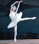 Swan Lake photo (0-4)