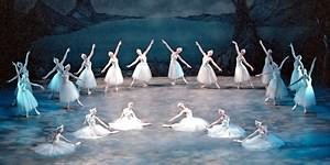 Swan Lake photo (0-7)