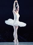 photo - Swan Lake 1993