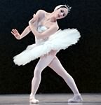 Swan Lake photo (0-5)