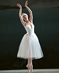 Swan Lake photo (0-6)