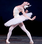 Swan Lake photo (213-1)