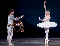 Swan Lake photo (213-2)