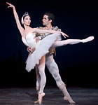 Swan Lake photo (213-3)