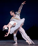 Swan Lake photo (213-4)