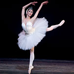 Swan Lake photo (213-5)