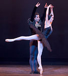 Swan Lake photo (213-6)