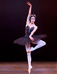 Swan Lake photo (213-7)