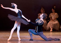 Swan Lake photo (213-8)