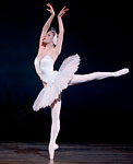 Swan Lake photo (221-1)