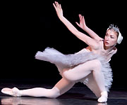 Swan Lake photo (221-2)