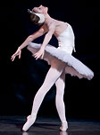 Swan Lake photo (221-3)