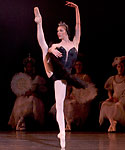 Swan Lake photo (221-5)