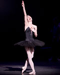 Swan Lake photo (221-6)